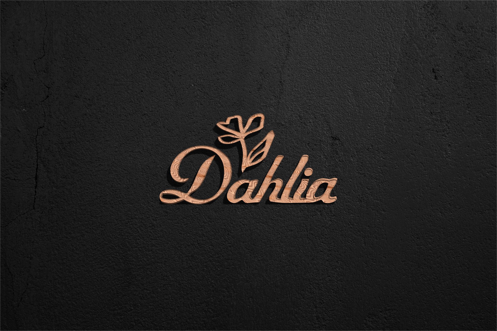 Dahlia Plant Nursery